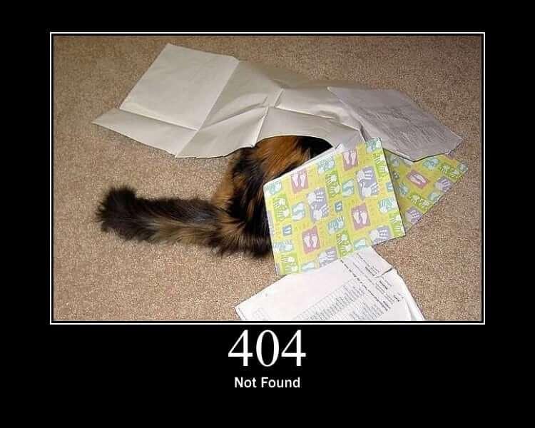 Not Found from HTTP Cats